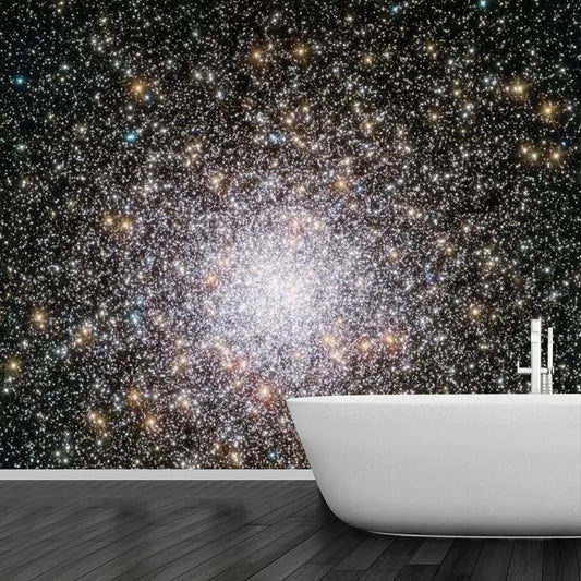 Whole Nebula Mural Wallpaper in Black Non-Woven Fabric Wall Art for Ceiling Decor, Made to Measure
