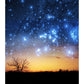 Orange and Blue Nordic Wall Covering Customized Size Starry Sky and Forest Wall Mural for Guest Room Clearhalo 'Wall Decor' 'Wall Mural' 1112827