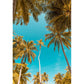 Photo Coconut Trees Wall Covering Extra Large Wall Mural for Theme Restaurant Decor, Custom-Made Clearhalo 'Wall Decor' 'Wall Mural' 1114277