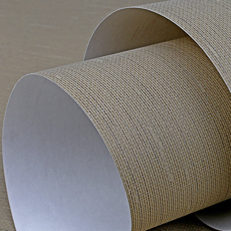 20.5" x 33' Textured Wallpaper Roll for Dining Room Non-Woven Wall Decor in Dark Color, Stain-Resistant Clearhalo 'Modern wall decor' 'Modern' 'Wallpaper' Wall Decor' 1124290