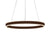 Black/Brown Ring Ceiling Pendant Contemporary 2/3/4 Lights Acrylic LED Chandelier in Warm/White Light 1 Brown Clearhalo 'Ceiling Lights' 'Chandeliers' 'Modern Chandeliers' 'Modern' Lighting' 113273