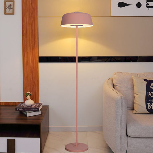 Barn Shade Floor Standing Light Nordic Metallic Single Light Pink/Yellow Finish Stand Up Lamp Clearhalo 'Floor Lamps' 'Lamps' Lighting' 1136248