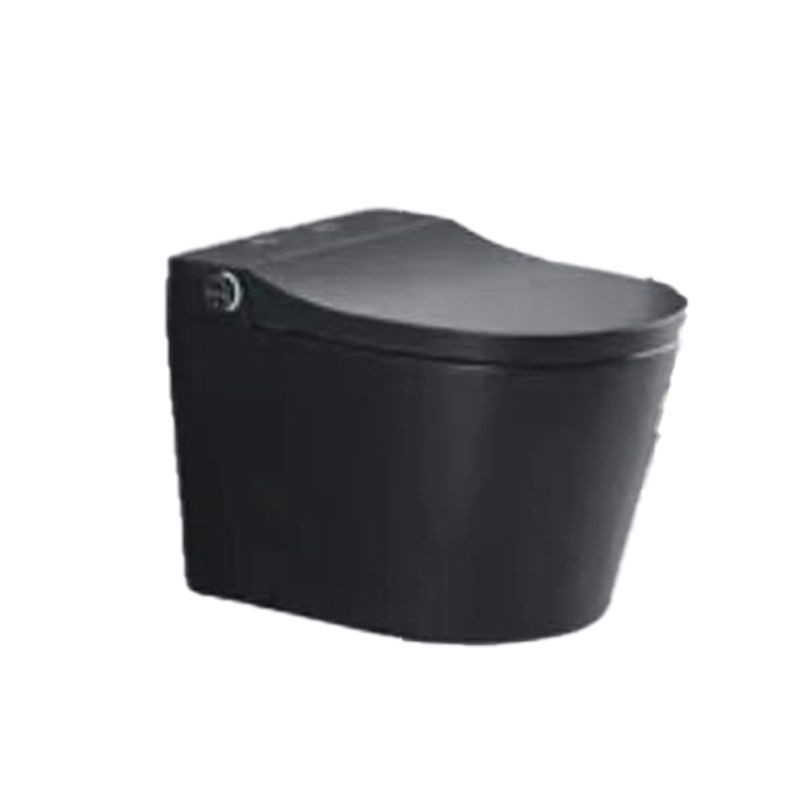 Elongated Wall Mounted Bidet Smart Bidet with Warm Air Dryer Clearhalo 'Bathroom Remodel & Bathroom Fixtures' 'Bidets' 'Home Improvement' 'home_improvement' 'home_improvement_bidets' 'Toilets & Bidets' 1200x1200_003475ac-62bb-45ea-aebb-292ee69d21a2