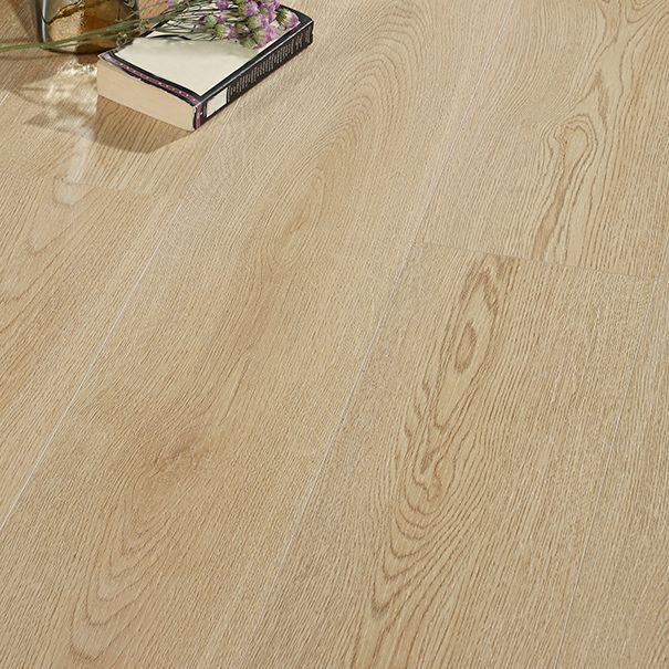 Light Color Laminate Flooring Modern Style Wooden Laminate Flooring Clearhalo 'Flooring 'Home Improvement' 'home_improvement' 'home_improvement_laminate_flooring' 'Laminate Flooring' 'laminate_flooring' Walls and Ceiling' 1200x1200_006dfbb7-27b7-42a0-ac5b-5d4cce1149e2