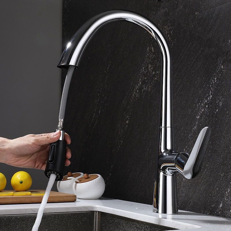 Modern 1-Handle Faucet Pull down Stainless Steel Standard Kitchen Faucet Clearhalo 'Home Improvement' 'home_improvement' 'home_improvement_kitchen_faucets' 'Kitchen Faucets' 'Kitchen Remodel & Kitchen Fixtures' 'Kitchen Sinks & Faucet Components' 'kitchen_faucets' 1200x1200_00ca81f9-19c3-4449-be14-7e4eceff2c3a