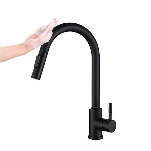 Modern 1-Handle Faucets Stainless Steel Gooseneck with Pull Out Sprayer Faucets Clearhalo 'Home Improvement' 'home_improvement' 'home_improvement_kitchen_faucets' 'Kitchen Faucets' 'Kitchen Remodel & Kitchen Fixtures' 'Kitchen Sinks & Faucet Components' 'kitchen_faucets' 1200x1200_00fd171c-c0d7-4372-96e0-af389284b3d1