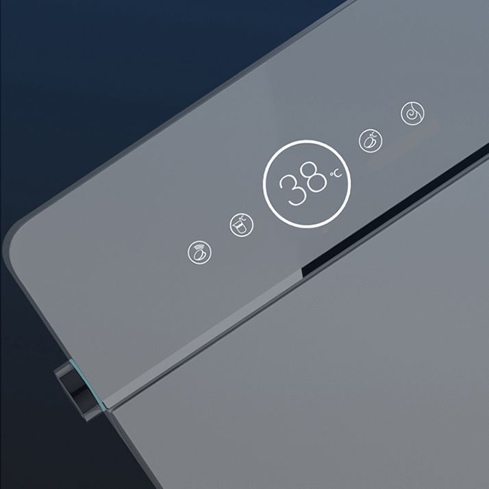 Ceramic Temperature Control White Elongated Contemporary Floor Standing Bidet Clearhalo 'Bathroom Remodel & Bathroom Fixtures' 'Bidets' 'Home Improvement' 'home_improvement' 'home_improvement_bidets' 'Toilets & Bidets' 1200x1200_01029038-9901-43ec-bb5a-269766e6f924