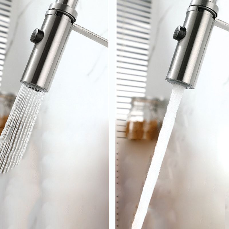 1-Handle 2-Function Kitchen Faucet Pulldown Kitchen Sink Faucet with Sprayer and Handles Clearhalo 'Home Improvement' 'home_improvement' 'home_improvement_kitchen_faucets' 'Kitchen Faucets' 'Kitchen Remodel & Kitchen Fixtures' 'Kitchen Sinks & Faucet Components' 'kitchen_faucets' 1200x1200_029e2166-ef1a-4a9c-9e96-d82a4ef324ff