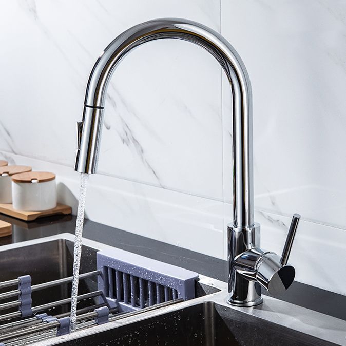 Modern Style Kitchen Faucet Gooseneck Kitchen Faucet with Pull down Sprayer Clearhalo 'Home Improvement' 'home_improvement' 'home_improvement_kitchen_faucets' 'Kitchen Faucets' 'Kitchen Remodel & Kitchen Fixtures' 'Kitchen Sinks & Faucet Components' 'kitchen_faucets' 1200x1200_04890dba-6a3c-4db7-8c63-4c90c3a18bd7