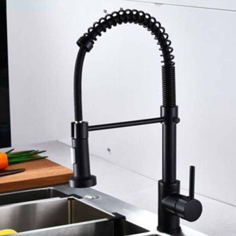 Modern Farmhouse Faucet Spring Spout Water Filler One Handle High Arch Kitchen Faucet Clearhalo 'Home Improvement' 'home_improvement' 'home_improvement_kitchen_faucets' 'Kitchen Faucets' 'Kitchen Remodel & Kitchen Fixtures' 'Kitchen Sinks & Faucet Components' 'kitchen_faucets' 1200x1200_051f7c91-2468-4eae-a0ee-4af8bcd90bff