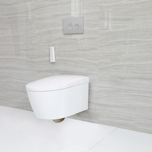 Contemporary Wall Hung Toilet Set Elongated Bowl Shape Smart Bidet Clearhalo 'Bathroom Remodel & Bathroom Fixtures' 'Bidets' 'Home Improvement' 'home_improvement' 'home_improvement_bidets' 'Toilets & Bidets' 1200x1200_05288163-2682-4e2f-aa37-0cd898b521c1