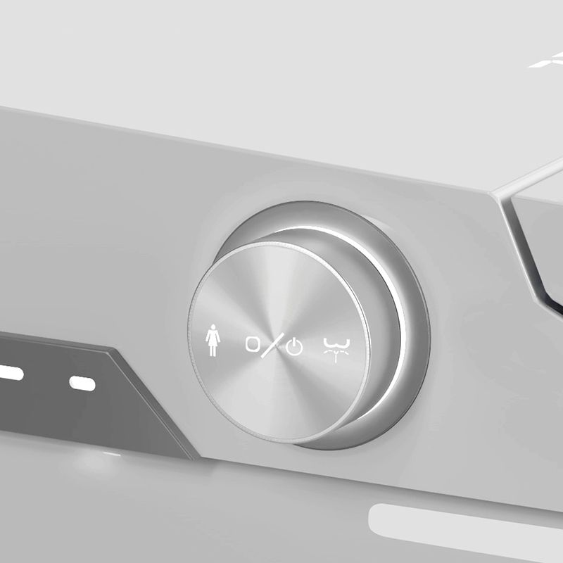 Elongated Floor Standing Bidet in White Smart Bidet with Heated Seat Clearhalo 'Bathroom Remodel & Bathroom Fixtures' 'Bidets' 'Home Improvement' 'home_improvement' 'home_improvement_bidets' 'Toilets & Bidets' 1200x1200_053a3457-95d7-4e6d-b264-3bffd59727d9