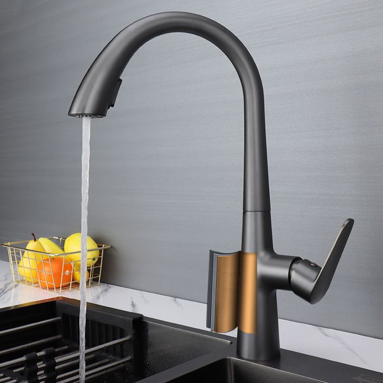 Modern Pot Filler Kitchen Faucet Brass Lever Handles Pull out Faucet Kitchen Faucet Clearhalo 'Home Improvement' 'home_improvement' 'home_improvement_kitchen_faucets' 'Kitchen Faucets' 'Kitchen Remodel & Kitchen Fixtures' 'Kitchen Sinks & Faucet Components' 'kitchen_faucets' 1200x1200_05c7e025-f439-4a17-9f8f-b0050ea70483