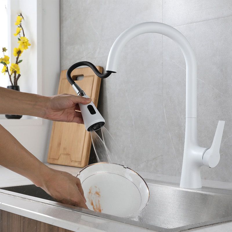 Contemporary Single Handle Kitchen Faucet Water Filler with Pull out Sprayer Clearhalo 'Home Improvement' 'home_improvement' 'home_improvement_kitchen_faucets' 'Kitchen Faucets' 'Kitchen Remodel & Kitchen Fixtures' 'Kitchen Sinks & Faucet Components' 'kitchen_faucets' 1200x1200_07823b6d-b692-4028-9f77-c5dfe59d2f56