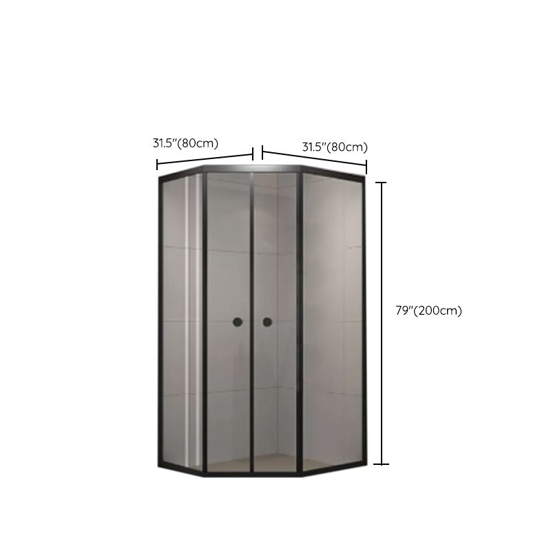 Neo-Angle Clear Tempered Shower Enclosure Framed Double Sliding Shower Kit Clearhalo 'Bathroom Remodel & Bathroom Fixtures' 'Home Improvement' 'home_improvement' 'home_improvement_shower_stalls_enclosures' 'Shower Stalls & Enclosures' 'shower_stalls_enclosures' 'Showers & Bathtubs' 1200x1200_07c92619-dcd2-4e81-b816-41c9c54f55a0