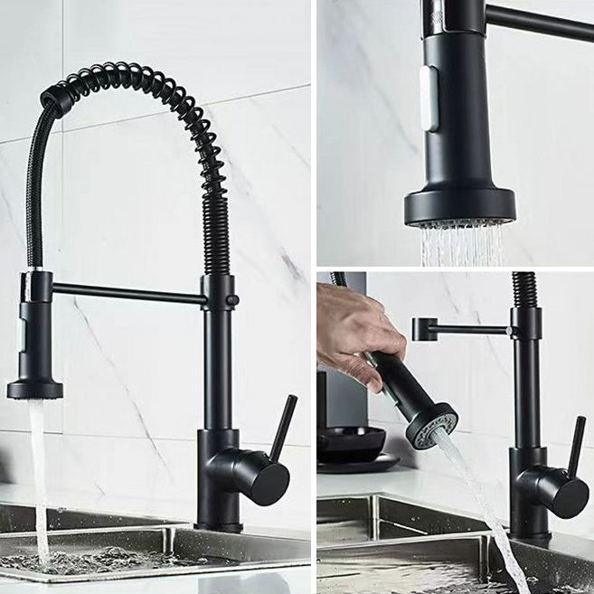 Modern 1-Handle Faucet Spring Spout with Water Dispenser Standard Kitchen Faucet Clearhalo 'Home Improvement' 'home_improvement' 'home_improvement_kitchen_faucets' 'Kitchen Faucets' 'Kitchen Remodel & Kitchen Fixtures' 'Kitchen Sinks & Faucet Components' 'kitchen_faucets' 1200x1200_07da54a0-b411-4f02-9c2d-ec9002fc0a1c