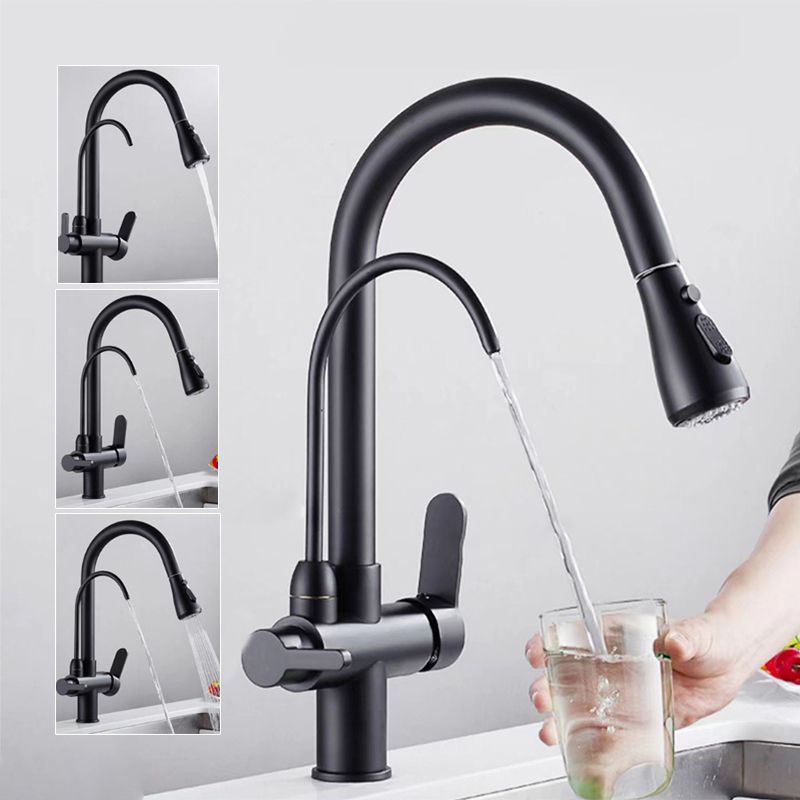 Modern 2-Handle Faucets Copper with Water Dispenser Standard Kitchen Faucets Clearhalo 'Home Improvement' 'home_improvement' 'home_improvement_kitchen_faucets' 'Kitchen Faucets' 'Kitchen Remodel & Kitchen Fixtures' 'Kitchen Sinks & Faucet Components' 'kitchen_faucets' 1200x1200_07e5d804-1308-490f-b412-e64de1c0a752