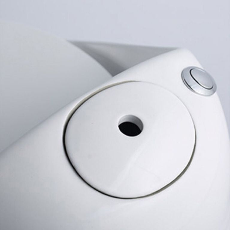 Modern UF Siphon Jet Toilet Bowl Floor Mount Flush Toilet with Toilet Seat Clearhalo 'Bathroom Remodel & Bathroom Fixtures' 'Home Improvement' 'home_improvement' 'home_improvement_toilets' 'Toilets & Bidets' 'Toilets' 1200x1200_099551f8-7391-4e29-880b-50b60d5d6a30