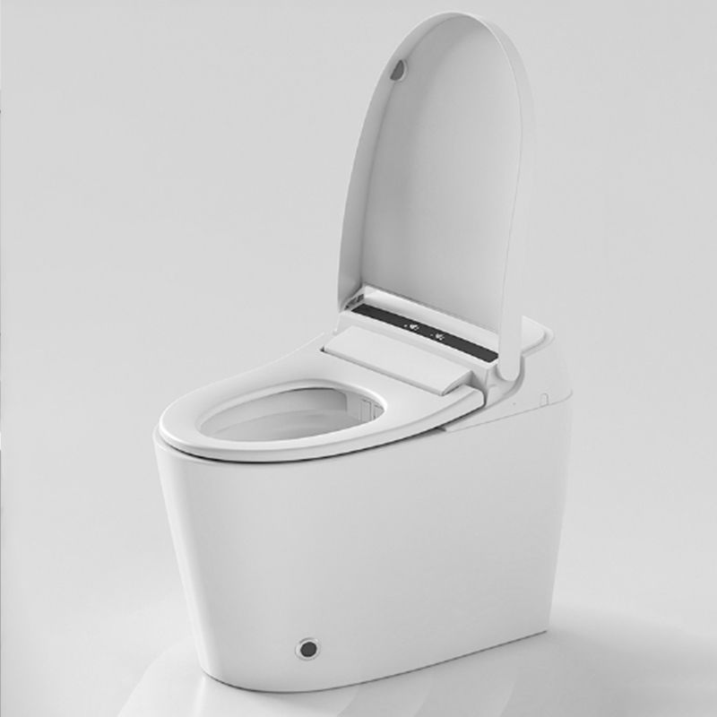Contemporary Floor Standing Bidet in White Elongated Toilet Clearhalo 'Bathroom Remodel & Bathroom Fixtures' 'Bidets' 'Home Improvement' 'home_improvement' 'home_improvement_bidets' 'Toilets & Bidets' 1200x1200_09d1d92e-989b-4501-8ca7-69f2722d12bc