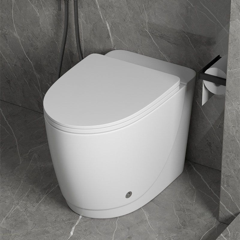 Siphon Jet Toilet Elongate One-Piece Floor Mounted Toilet with Dual Flush Mode Clearhalo 'Bathroom Remodel & Bathroom Fixtures' 'Home Improvement' 'home_improvement' 'home_improvement_toilets' 'Toilets & Bidets' 'Toilets' 1200x1200_0a583ef1-1775-4e72-b0dc-c9561dfd56bc