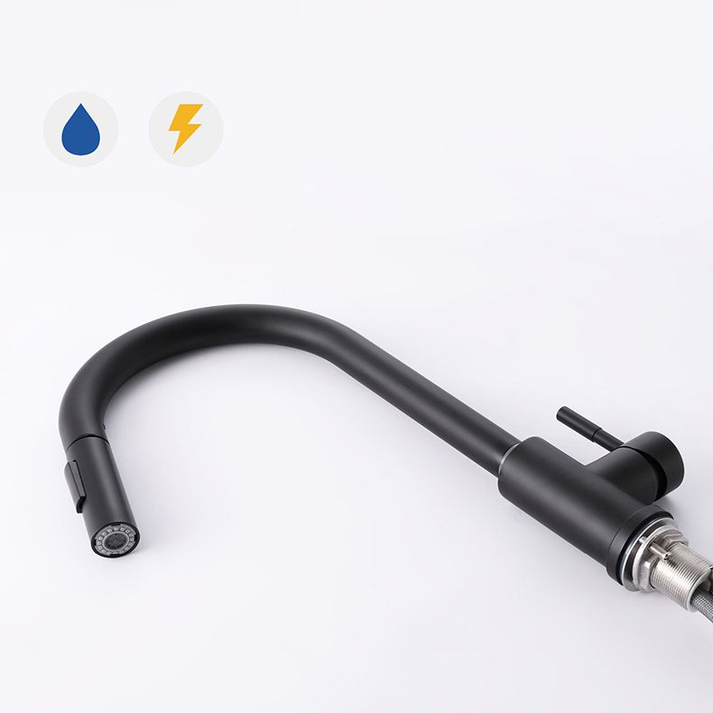 Modern 1-Handle Faucets Stainless Steel Gooseneck with Pull Out Sprayer Faucets Clearhalo 'Home Improvement' 'home_improvement' 'home_improvement_kitchen_faucets' 'Kitchen Faucets' 'Kitchen Remodel & Kitchen Fixtures' 'Kitchen Sinks & Faucet Components' 'kitchen_faucets' 1200x1200_0b5a071d-6007-4703-8a6c-4dd35010b888