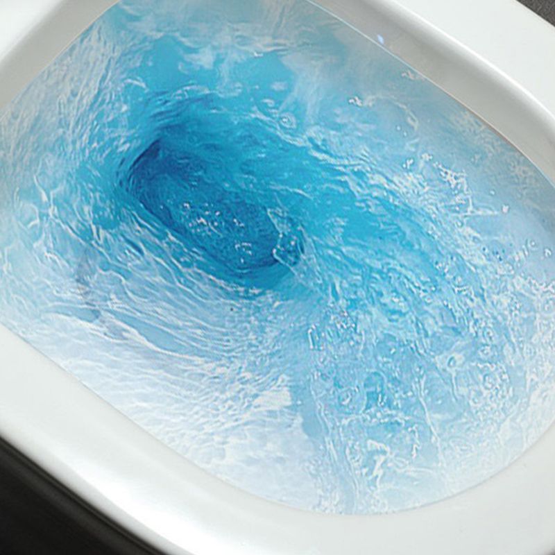 Traditional All-In-One Flush Toilet Floor Mounted Porcelain Siphon Jet Toilet Clearhalo 'Bathroom Remodel & Bathroom Fixtures' 'Home Improvement' 'home_improvement' 'home_improvement_toilets' 'Toilets & Bidets' 'Toilets' 1200x1200_0b5e1d94-4c64-4348-bcb6-fbe415f991f5