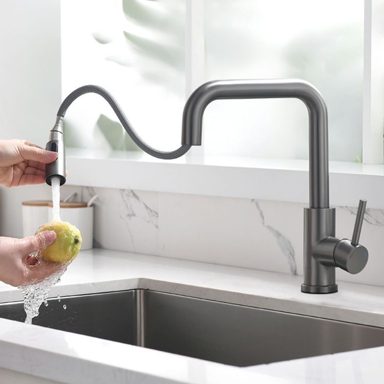 Modern Pull Out Single Rotary Switch Kitchen Faucet High Profile Faucet Clearhalo 'Home Improvement' 'home_improvement' 'home_improvement_kitchen_faucets' 'Kitchen Faucets' 'Kitchen Remodel & Kitchen Fixtures' 'Kitchen Sinks & Faucet Components' 'kitchen_faucets' 1200x1200_0cf7ff5b-6792-443b-9026-8e4167afb347