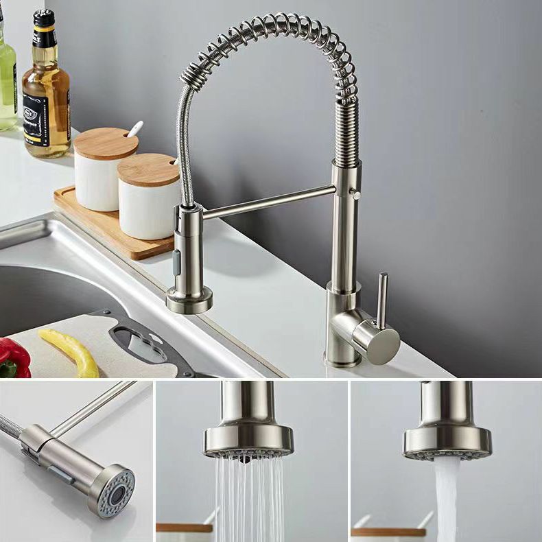 Modern 1-Handle Faucet Spring Spout with Water Dispenser Standard Kitchen Faucet Clearhalo 'Home Improvement' 'home_improvement' 'home_improvement_kitchen_faucets' 'Kitchen Faucets' 'Kitchen Remodel & Kitchen Fixtures' 'Kitchen Sinks & Faucet Components' 'kitchen_faucets' 1200x1200_0d053659-7b6a-46a8-9567-552bf3b681b2