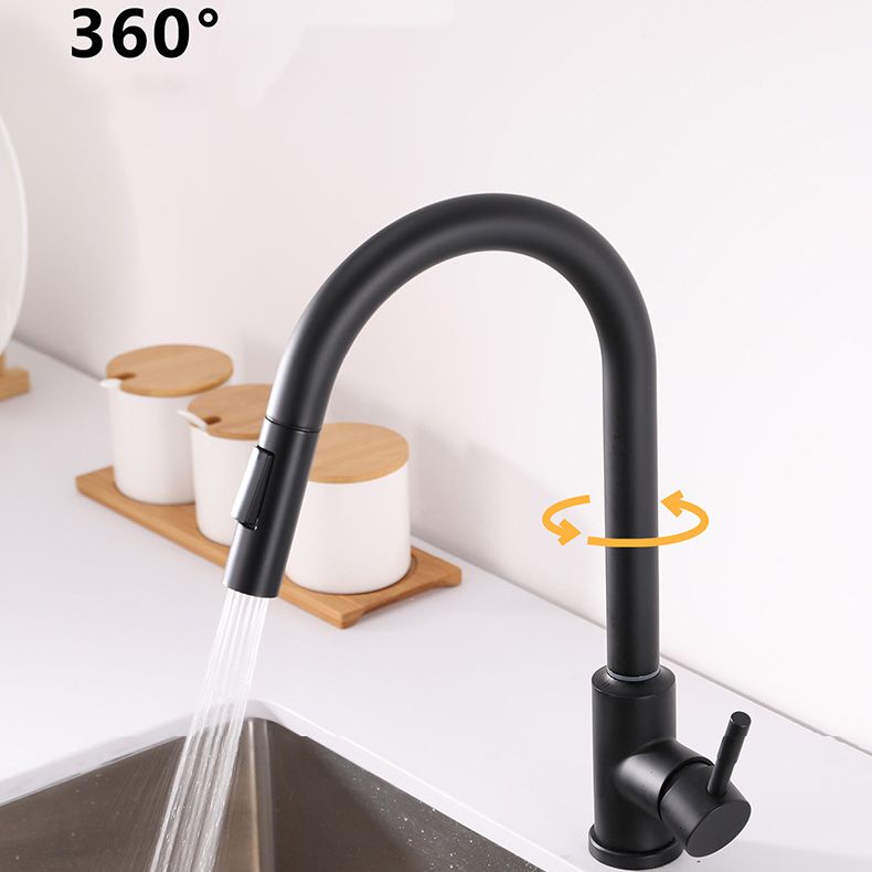 Modern 1-Handle Faucets Stainless Steel Gooseneck with Pull Out Sprayer Faucets Clearhalo 'Home Improvement' 'home_improvement' 'home_improvement_kitchen_faucets' 'Kitchen Faucets' 'Kitchen Remodel & Kitchen Fixtures' 'Kitchen Sinks & Faucet Components' 'kitchen_faucets' 1200x1200_0e6ccbf7-b626-43ff-be37-53fa3d7c3b3e
