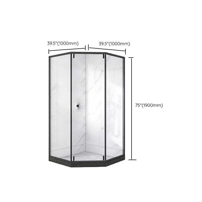 Single Sliding Neo-Angle Shower Enclosure Tempered Glass Stainless Steel Shower Stall Clearhalo 'Bathroom Remodel & Bathroom Fixtures' 'Home Improvement' 'home_improvement' 'home_improvement_shower_stalls_enclosures' 'Shower Stalls & Enclosures' 'shower_stalls_enclosures' 'Showers & Bathtubs' 1200x1200_0fcaf951-8446-42c8-9924-e7011aca0a14
