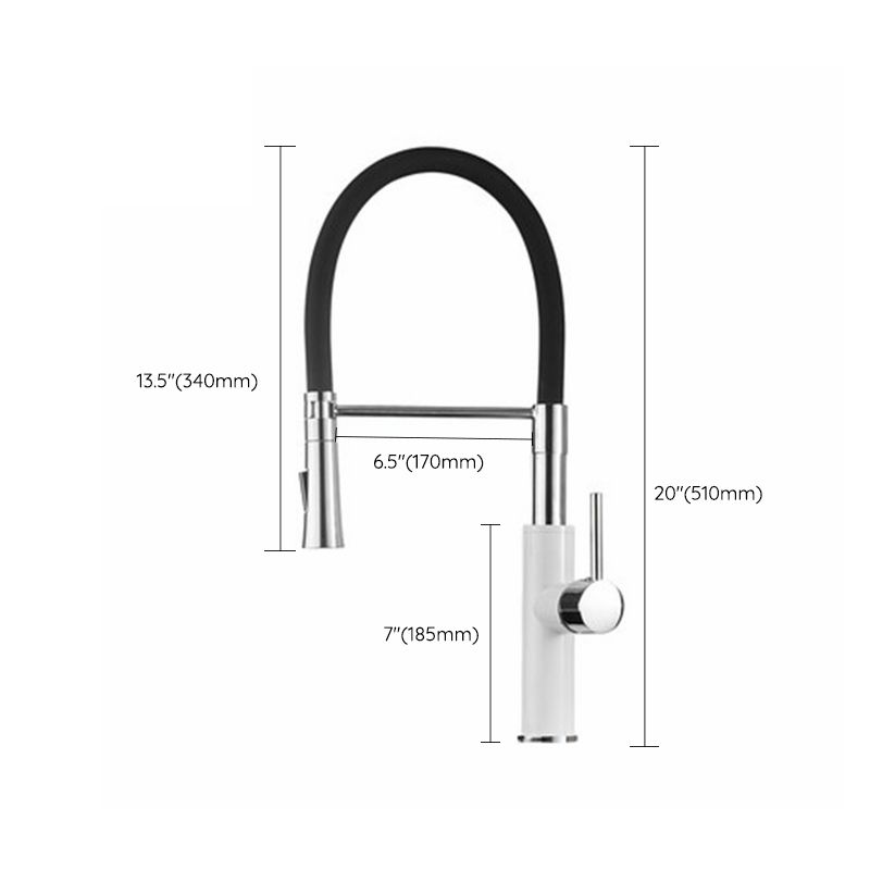 Modern 1-Handle Faucets with Water Dispenser Touchless Standard Kitchen Faucets Clearhalo 'Home Improvement' 'home_improvement' 'home_improvement_kitchen_faucets' 'Kitchen Faucets' 'Kitchen Remodel & Kitchen Fixtures' 'Kitchen Sinks & Faucet Components' 'kitchen_faucets' 1200x1200_1025ac3a-43f9-4298-bc43-76a15ddcf380