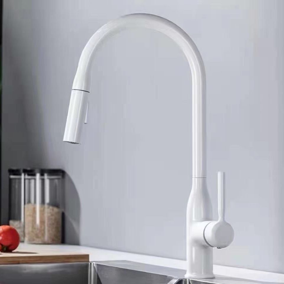 Modern Pull down Water Filler One Handle High Arch Kitchen Faucet Clearhalo 'Home Improvement' 'home_improvement' 'home_improvement_kitchen_faucets' 'Kitchen Faucets' 'Kitchen Remodel & Kitchen Fixtures' 'Kitchen Sinks & Faucet Components' 'kitchen_faucets' 1200x1200_10392d52-47c1-4d3e-b66c-90ad667c4a3e