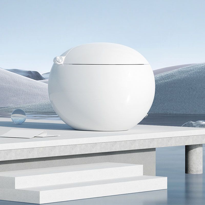 White Egg Shaped Electronic Elongated Toilet Floor Standing Bidet Clearhalo 'Bathroom Remodel & Bathroom Fixtures' 'Bidets' 'Home Improvement' 'home_improvement' 'home_improvement_bidets' 'Toilets & Bidets' 1200x1200_1058da07-afe9-43d5-b3cd-9a4eb82d1c27