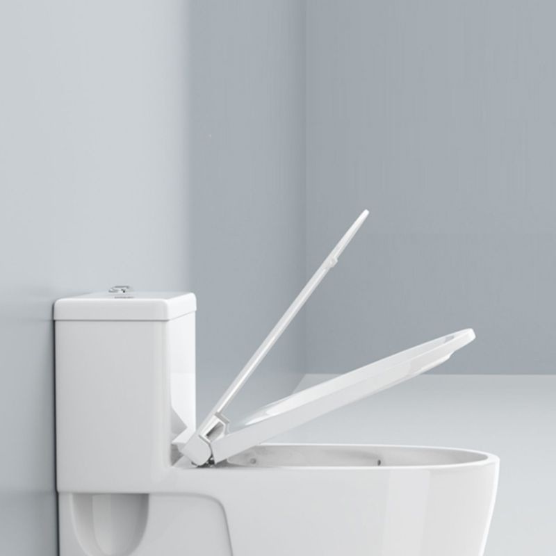 Modern Floor Mount Toilet Slow Close Seat Included Toilet Bowl for Washroom Clearhalo 'Bathroom Remodel & Bathroom Fixtures' 'Home Improvement' 'home_improvement' 'home_improvement_toilets' 'Toilets & Bidets' 'Toilets' 1200x1200_1094bfb4-56b5-40dc-8f7c-233f12b60482