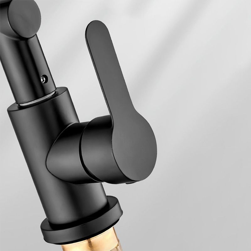 Modern Faucet 1-Handle 1-Hole Single Level Low Profile Pot Filler Kitchen Faucet Clearhalo 'Home Improvement' 'home_improvement' 'home_improvement_kitchen_faucets' 'Kitchen Faucets' 'Kitchen Remodel & Kitchen Fixtures' 'Kitchen Sinks & Faucet Components' 'kitchen_faucets' 1200x1200_115304d2-5541-4eb0-9c7f-df107b8533d1