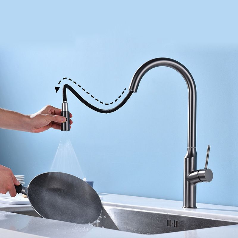 Modern 1-Handle Faucets Stainless Steel with Water Dispenser Pull down Faucets Clearhalo 'Home Improvement' 'home_improvement' 'home_improvement_kitchen_faucets' 'Kitchen Faucets' 'Kitchen Remodel & Kitchen Fixtures' 'Kitchen Sinks & Faucet Components' 'kitchen_faucets' 1200x1200_11c8183e-e0c7-4f65-ade7-8588c25dcd61