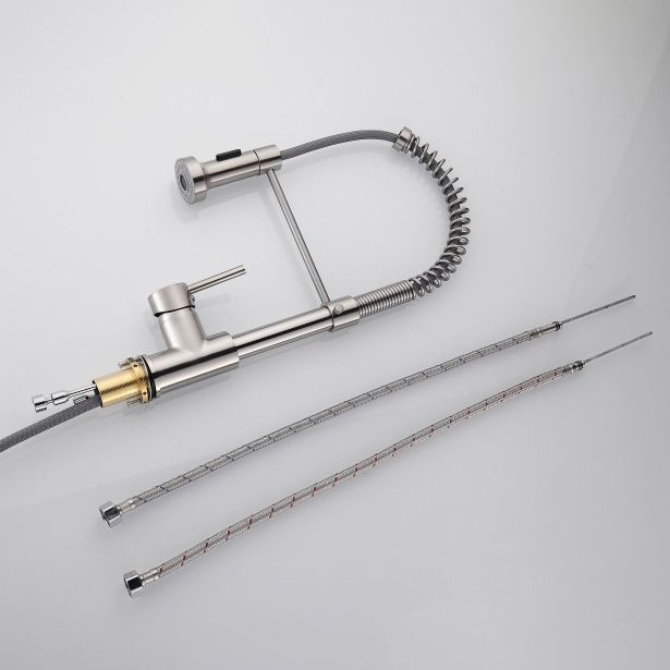 Modern Kitchen Faucet Brass Lever Handles Pre-Rinse High-Arc Kitchen Faucet Clearhalo 'Home Improvement' 'home_improvement' 'home_improvement_kitchen_faucets' 'Kitchen Faucets' 'Kitchen Remodel & Kitchen Fixtures' 'Kitchen Sinks & Faucet Components' 'kitchen_faucets' 1200x1200_12317d98-eced-40a1-bb1f-a83b22a2abfb