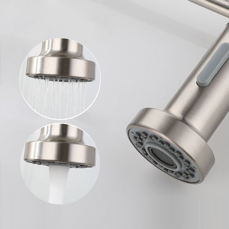 Modern Farmhouse Kitchen Faucet Pull down Single Handle 304 Stainless Steel Faucet Clearhalo 'Home Improvement' 'home_improvement' 'home_improvement_kitchen_faucets' 'Kitchen Faucets' 'Kitchen Remodel & Kitchen Fixtures' 'Kitchen Sinks & Faucet Components' 'kitchen_faucets' 1200x1200_123f01d6-46c7-4429-8f76-05caa8b289eb