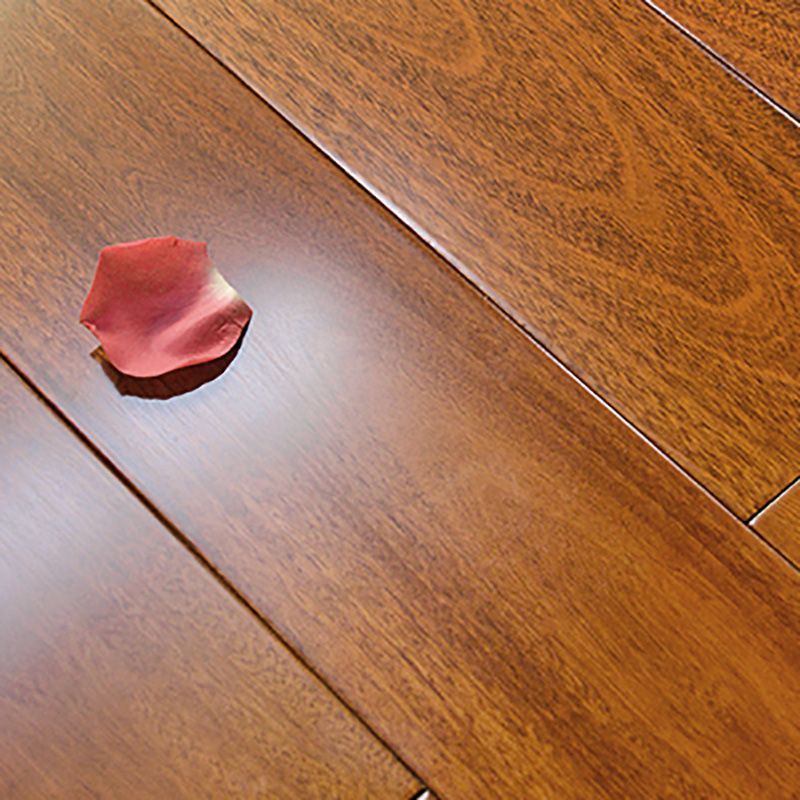 Tradition Hardwood Flooring Solid Rectangle Hardwood Deck Tiles Clearhalo 'Flooring 'Hardwood Flooring' 'hardwood_flooring' 'Home Improvement' 'home_improvement' 'home_improvement_hardwood_flooring' Walls and Ceiling' 1200x1200_1285da9d-7aad-4969-bbae-5fe9c0bd1495