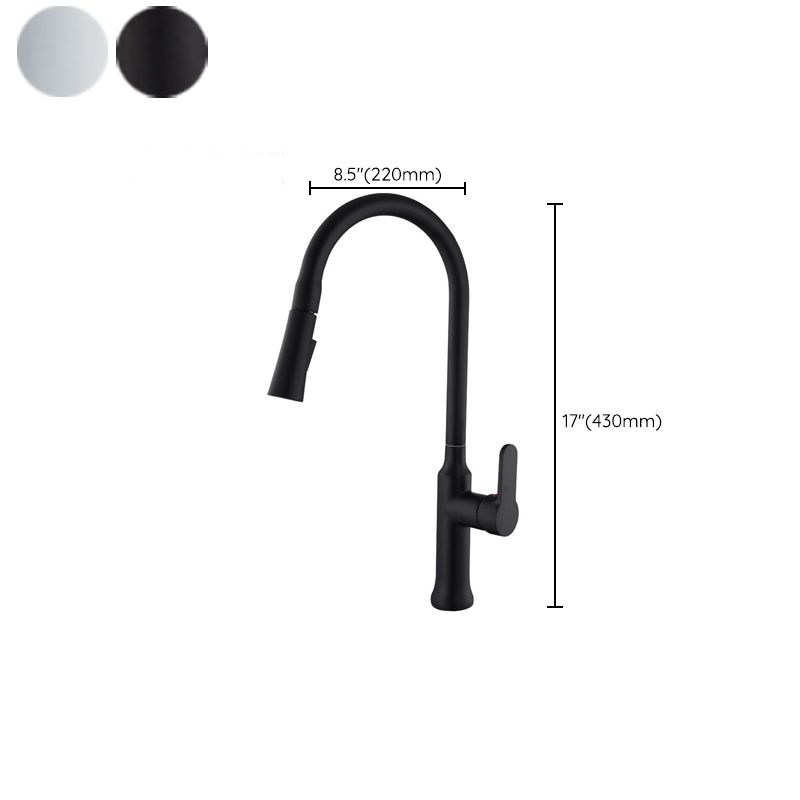 Contemporary Kitchen Sink Faucet Copper Swivel Spout with Pull out Faucet Clearhalo 'Home Improvement' 'home_improvement' 'home_improvement_kitchen_faucets' 'Kitchen Faucets' 'Kitchen Remodel & Kitchen Fixtures' 'Kitchen Sinks & Faucet Components' 'kitchen_faucets' 1200x1200_129b426f-7a78-428a-b398-02b5ec255a0f