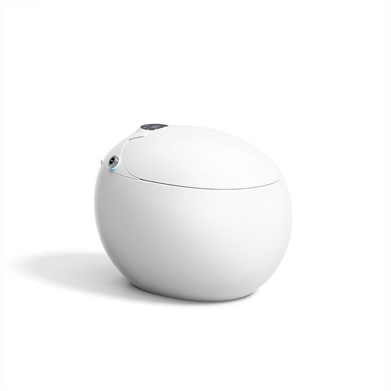 Modern Auto One Piece Toilet Siphon Jet Round Toilet with Sterilization Function Clearhalo 'Bathroom Remodel & Bathroom Fixtures' 'Home Improvement' 'home_improvement' 'home_improvement_toilets' 'Toilets & Bidets' 'Toilets' 1200x1200_13a2a865-f102-4f00-8500-6c2683df7a45