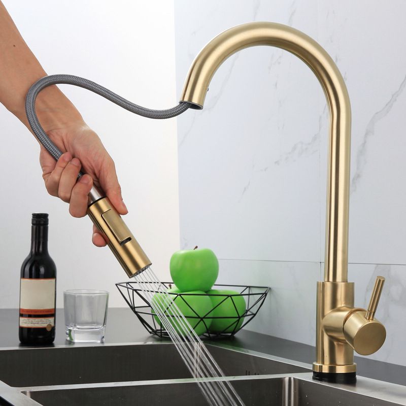 Traditional Pull down Kitchen Faucet Single Handle Faucet with Pull out Sprayer Clearhalo 'Home Improvement' 'home_improvement' 'home_improvement_kitchen_faucets' 'Kitchen Faucets' 'Kitchen Remodel & Kitchen Fixtures' 'Kitchen Sinks & Faucet Components' 'kitchen_faucets' 1200x1200_13b6acd2-6ded-47e6-9f6b-80d54bfcc5fa