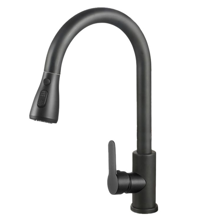 Modern Style Kitchen Faucet 304 Stainless Steel High Arc Pull Down Kitchen Faucet Clearhalo 'Home Improvement' 'home_improvement' 'home_improvement_kitchen_faucets' 'Kitchen Faucets' 'Kitchen Remodel & Kitchen Fixtures' 'Kitchen Sinks & Faucet Components' 'kitchen_faucets' 1200x1200_14026a3f-50ae-4257-a528-92a022d5e47c