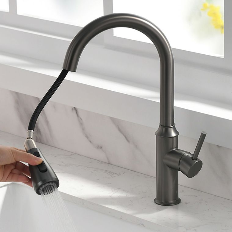 Modern Pull Out Single Rotary Switch Kitchen Faucet High Profile Faucet Clearhalo 'Home Improvement' 'home_improvement' 'home_improvement_kitchen_faucets' 'Kitchen Faucets' 'Kitchen Remodel & Kitchen Fixtures' 'Kitchen Sinks & Faucet Components' 'kitchen_faucets' 1200x1200_14164057-aa44-4743-889c-e99f2869f1a8