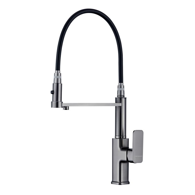 Swivel Spout Kitchen Sink Faucet High Arc with Pull Down Sprayer Clearhalo 'Home Improvement' 'home_improvement' 'home_improvement_kitchen_faucets' 'Kitchen Faucets' 'Kitchen Remodel & Kitchen Fixtures' 'Kitchen Sinks & Faucet Components' 'kitchen_faucets' 1200x1200_14a49529-f0ba-45bb-b8f0-dadcb78f4010