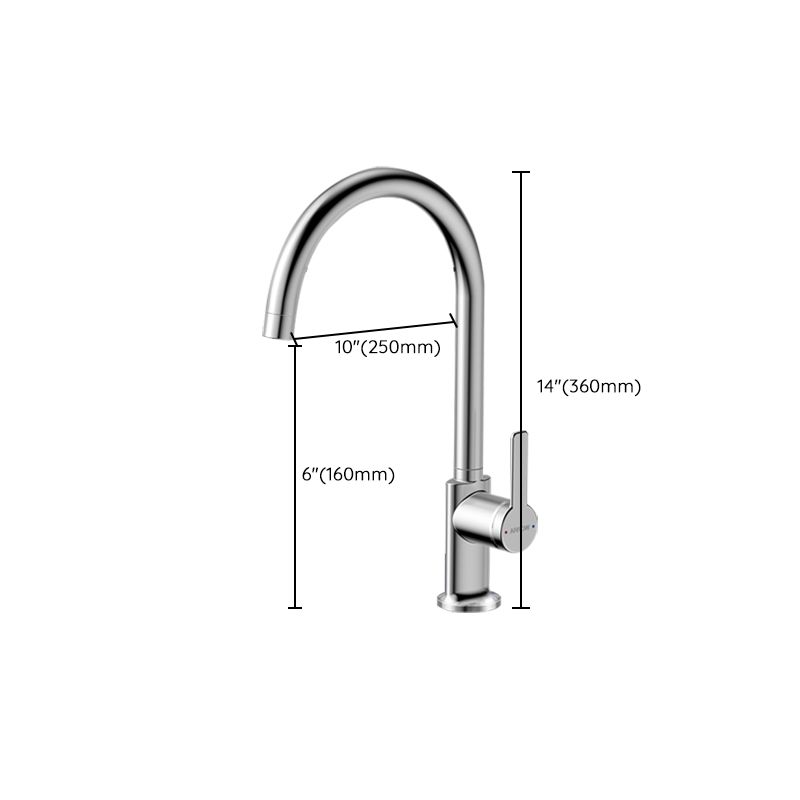 Traditional Kitchen Faucet Solid Color Standard Kitchen Faucet Clearhalo 'Home Improvement' 'home_improvement' 'home_improvement_kitchen_faucets' 'Kitchen Faucets' 'Kitchen Remodel & Kitchen Fixtures' 'Kitchen Sinks & Faucet Components' 'kitchen_faucets' 1200x1200_1502b62b-3833-48f7-b544-e425b5363ca3