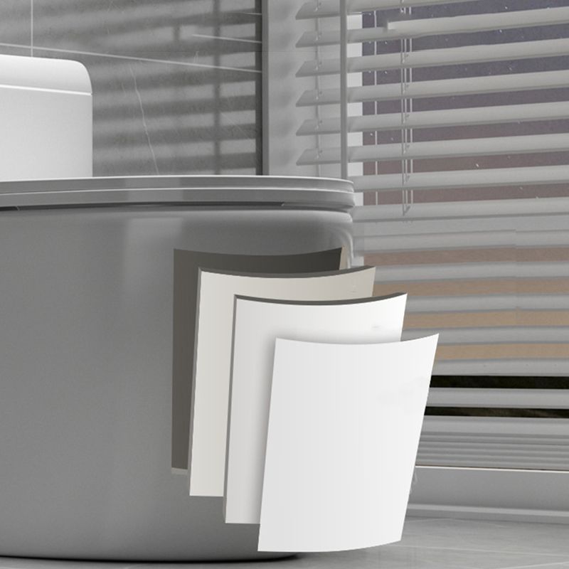 Contemporary Ceramic Floor Mounted Toilet Indoor All-In-One Toilet Bowl Clearhalo 'Bathroom Remodel & Bathroom Fixtures' 'Home Improvement' 'home_improvement' 'home_improvement_toilets' 'Toilets & Bidets' 'Toilets' 1200x1200_1576e6e5-1507-4597-aaf4-052fccec7559