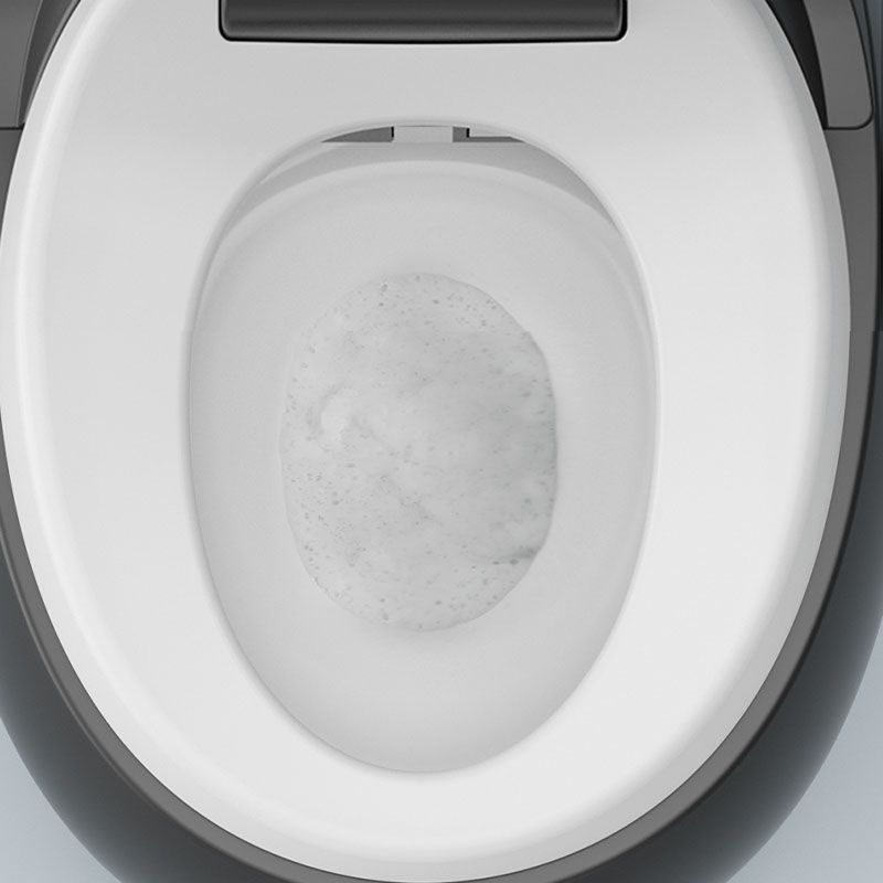Solid Color Egg Shaped Electronic Toilet Elongated Floor Standing Bidet in Tankless Clearhalo 'Bathroom Remodel & Bathroom Fixtures' 'Bidets' 'Home Improvement' 'home_improvement' 'home_improvement_bidets' 'Toilets & Bidets' 1200x1200_15c57964-1547-47e7-b208-d730f429fdb1
