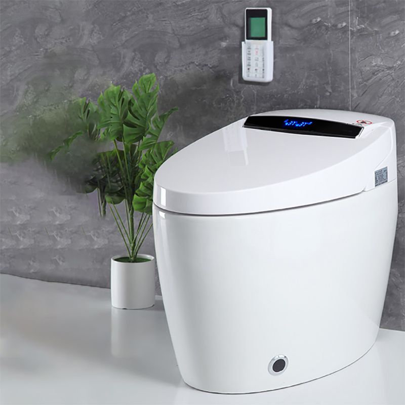 Contemporary Floor Standing Bidet Elongated Smart Bidet with Heated Seat Clearhalo 'Bathroom Remodel & Bathroom Fixtures' 'Bidets' 'Home Improvement' 'home_improvement' 'home_improvement_bidets' 'Toilets & Bidets' 1200x1200_15daac2c-9f65-4a7c-9ca6-9b4cd3444d83