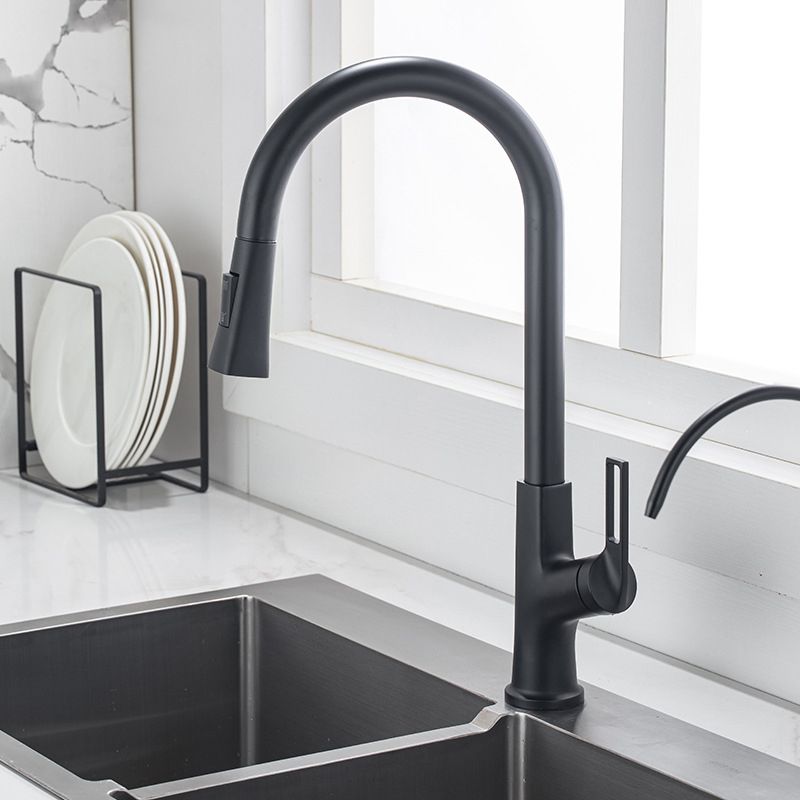 Modern Kitchen Faucet Brass Pulldown Sprayer Swivel Spout Kitchen Sink Faucet Clearhalo 'Home Improvement' 'home_improvement' 'home_improvement_kitchen_faucets' 'Kitchen Faucets' 'Kitchen Remodel & Kitchen Fixtures' 'Kitchen Sinks & Faucet Components' 'kitchen_faucets' 1200x1200_16404090-0521-41d6-b0a2-bfbc6defc68e